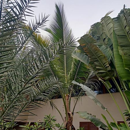 Casa Das Buganvilias Praia Exterior foto